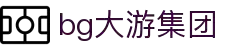 BG大游(集团)唯一官方网站